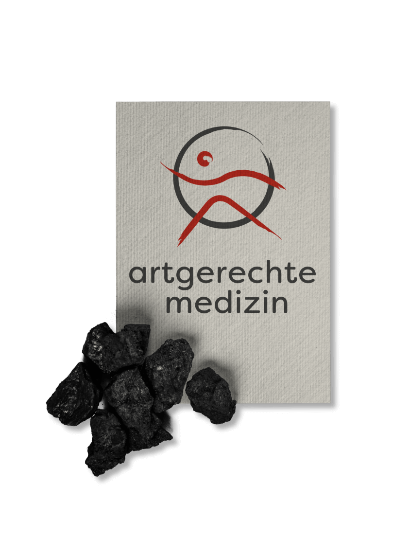 Ganzheitliches Branding Ganzheitliches Branding
