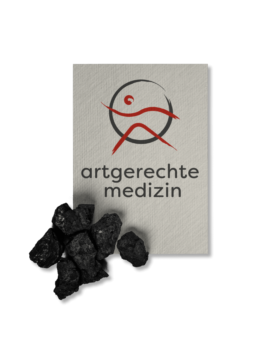 Ganzheitliches Branding